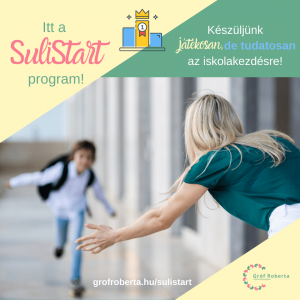 sulistart program